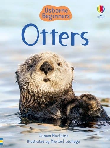 Otters (Usborne Beginners) 