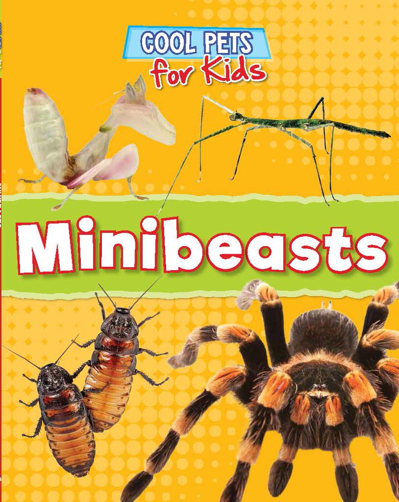 Minibeasts  (Cool Pets for Kids)