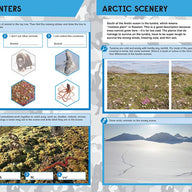 Bear Grylls Sticker Activity: Polar Worlds