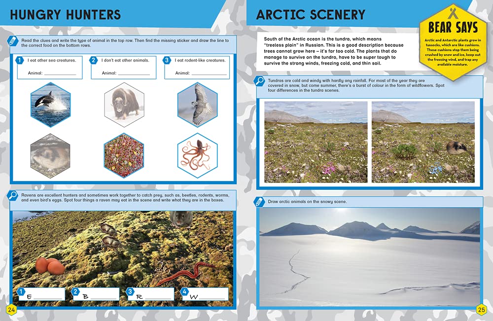 Bear Grylls Sticker Activity: Polar Worlds