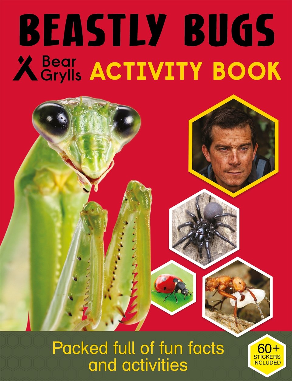 Bear Grylls Sticker Activity: Beastly Bugs