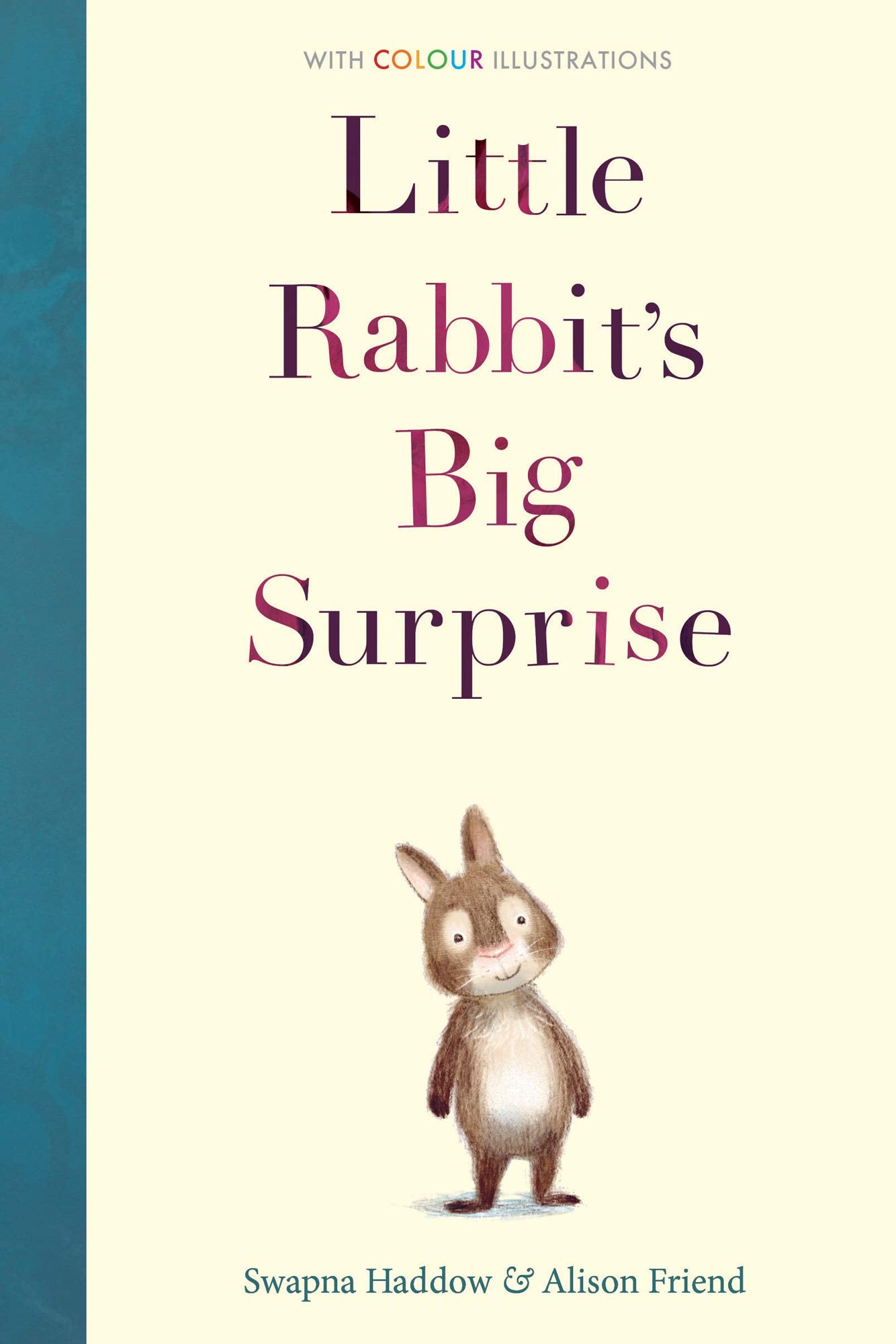 Little Rabbit's Big Surprise (Colour Fiction Hardback) 