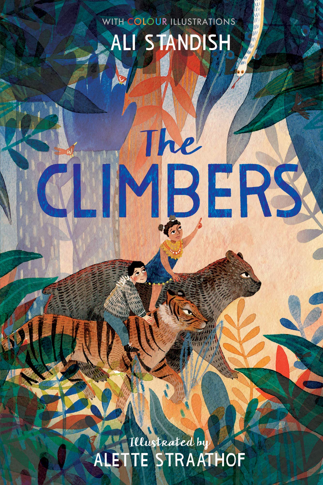 The Climbers (Hardback) Colour Fiction