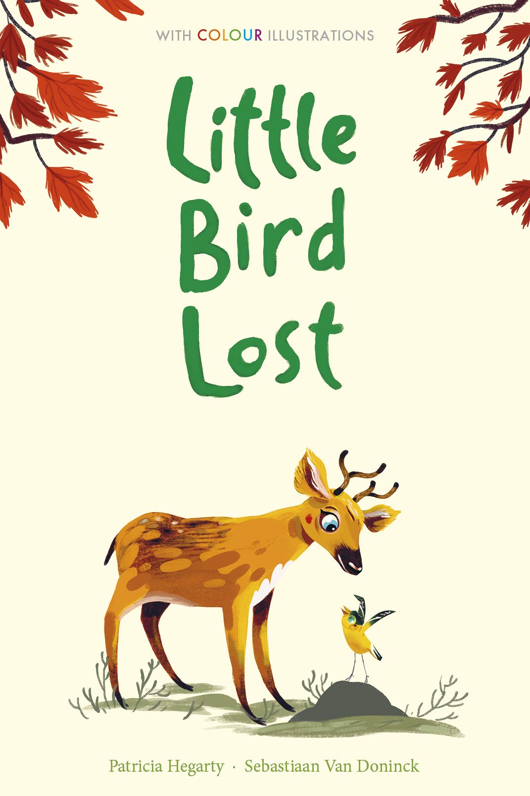 Little Bird Lost (Colour Fiction Hardback)